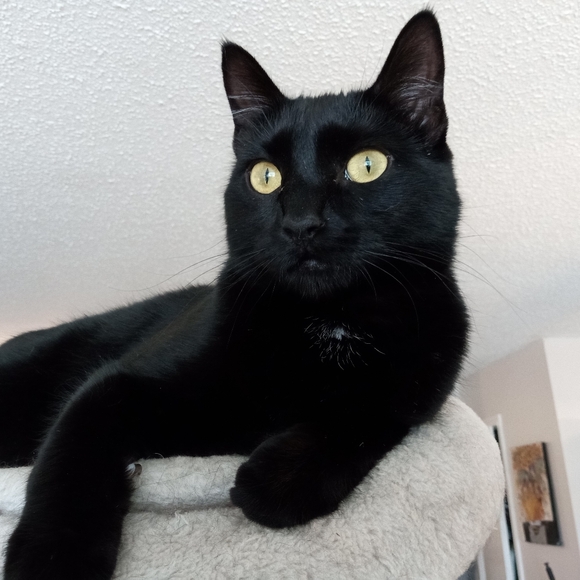 Meet your Posher, Katie - Picture 10 of 16